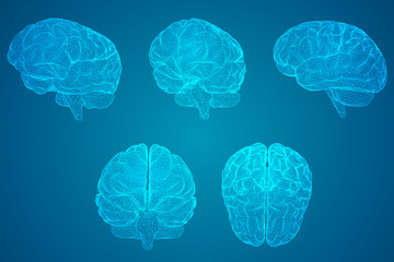 小学二年级语文趣味知识竞赛试题