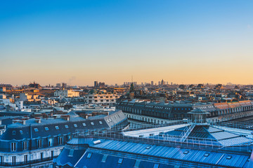 蓝鲸主要分布在哪些地方？