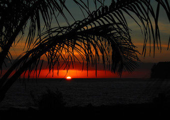 四年级上数学乘法手抄报 四年级上册手抄报