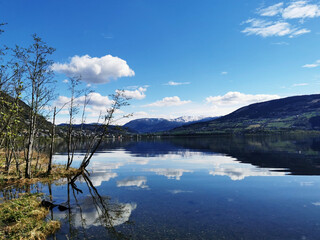 劳动教育活动记录表怎么写？