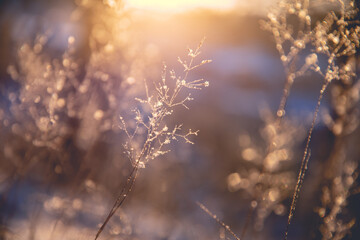 《伊索寓言》里面的故事内容