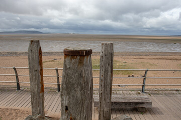 蓝鲸主要分布在哪些地方？