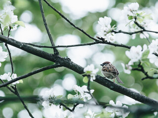 劳动教育活动记录表怎么写？