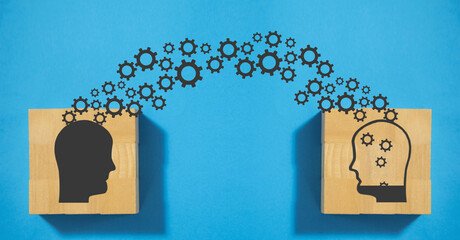 蓝鲸主要分布在哪些地方？