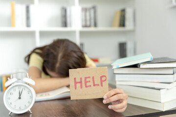 蓝鲸主要分布在哪些地方？