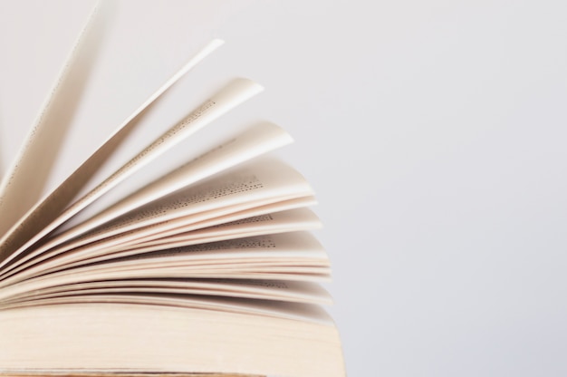 六年级上册数学必考题归纳