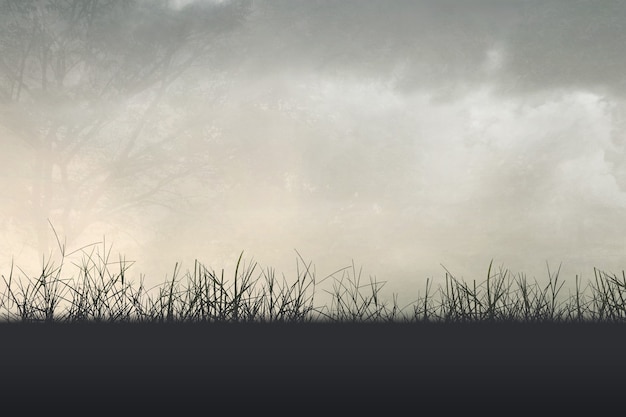 中国古代有几个朝代定都在洛阳