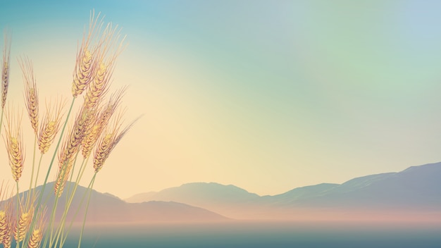 小学二年级数学脱式、竖式、列式计算各100道