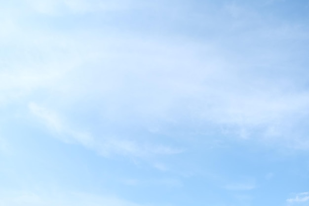 六年级上册数学必考题归纳