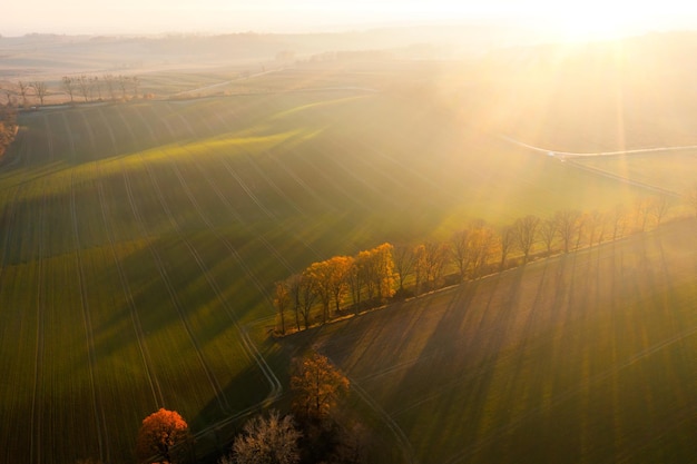 小学四年级语文的知识点