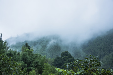 中国古代有几个朝代定都在洛阳