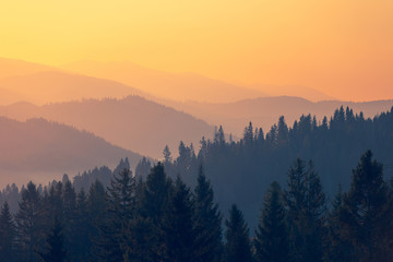 劳动教育活动记录表怎么写？