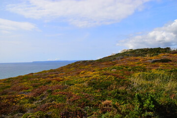中国古代有几个朝代定都在洛阳
